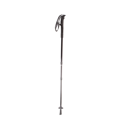 Trekking pole